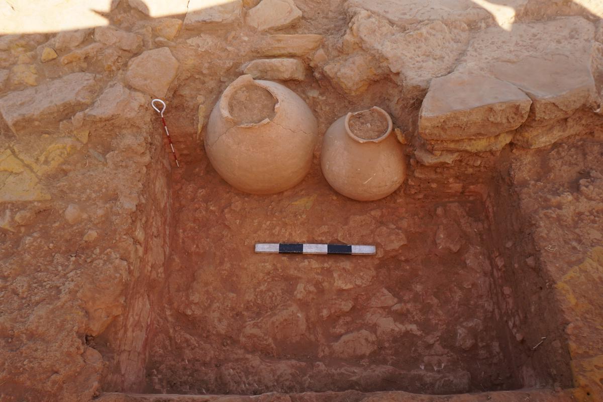 Terracotta clay storage pots that have been excavated during the archaeological expedition in Padta Bet.