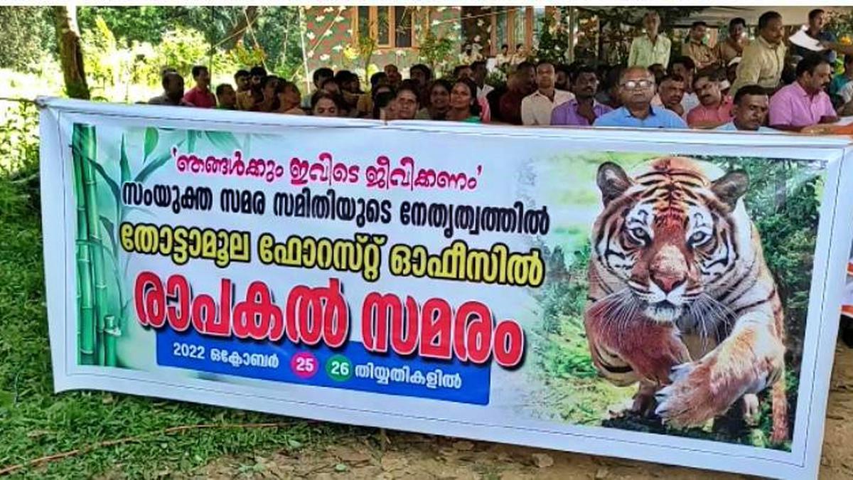 Recurring Tiger Attack At Cheeral In Wayanad, Residents Intensify ...