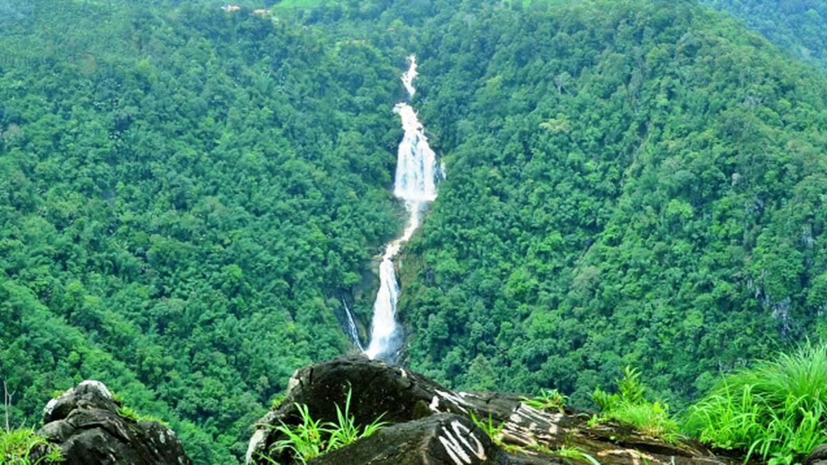 Greens seek review of decision to open ecotourism centres inside forest