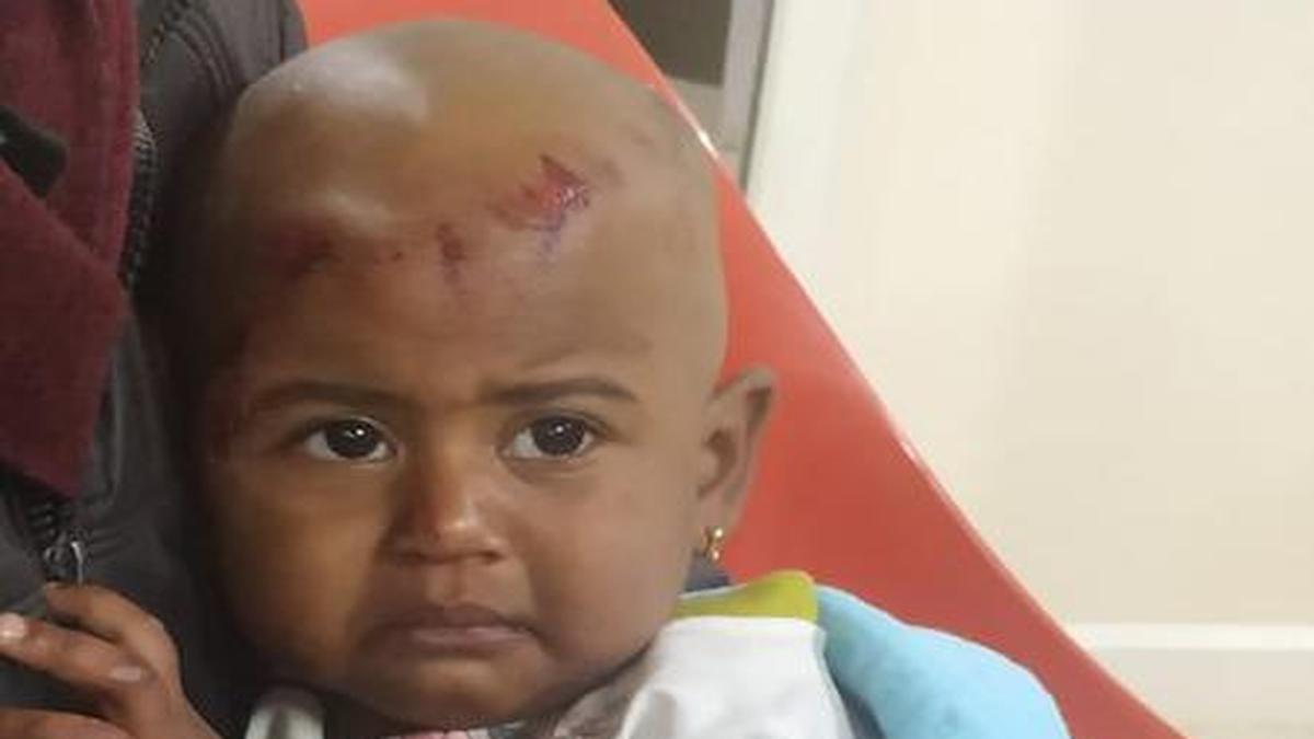 Case filed against parents of toddler who fell off vehicle The Hindu