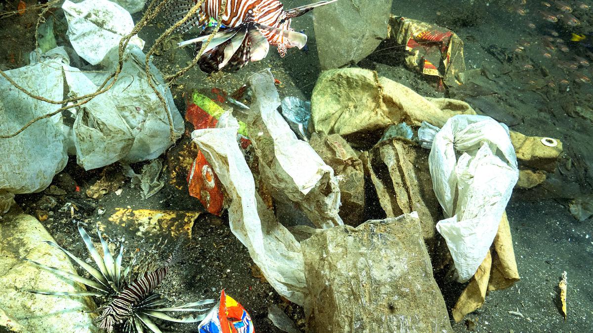 Study finds disturbing evidence of marine plastic pollution off Kerala coast