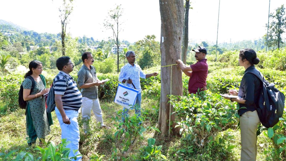 Survey to assess land value for rehabilitation of Mundakkai-Chooralmala landslide survivors begins