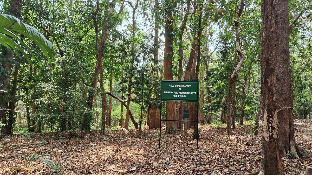Jawaharlal Nehru Tropical Botanic Garden and Research Institute to set up biorepository for Andaman flora