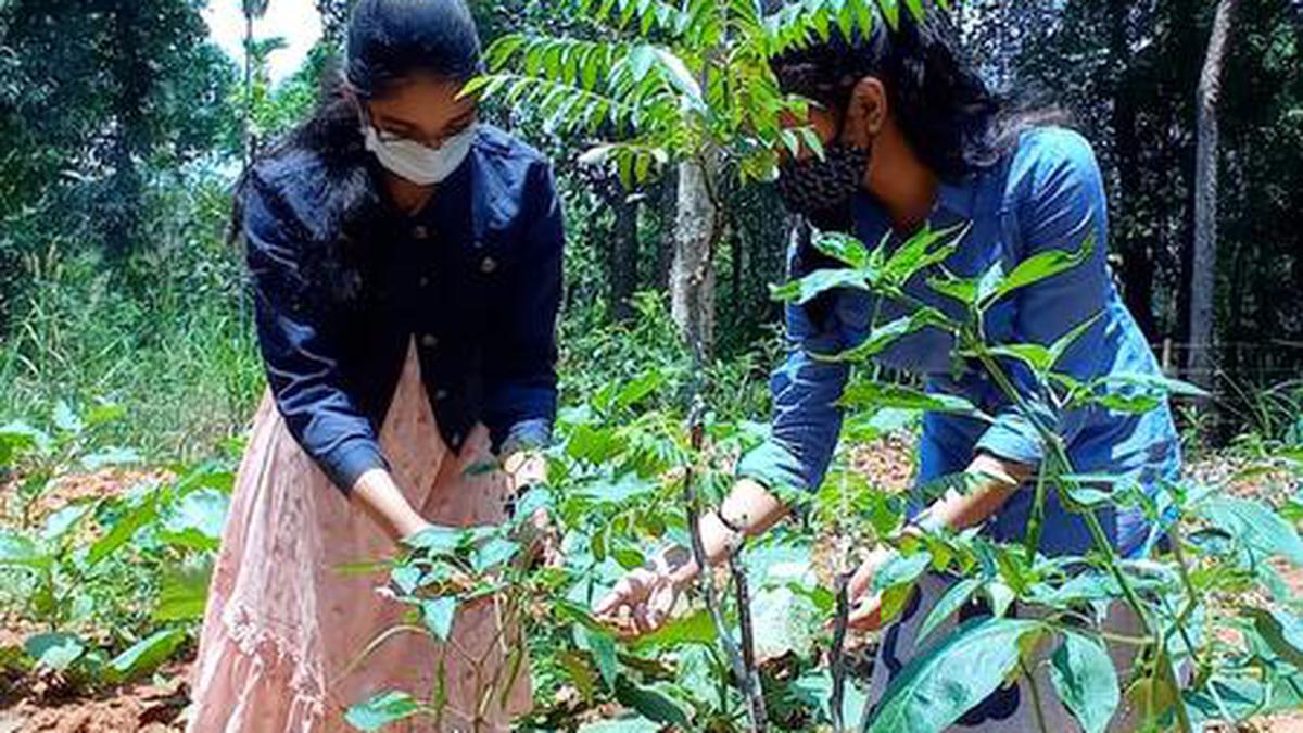 MSSRF and BGCI launch ‘Edible Schools’ to connect children to food crops and farm fields