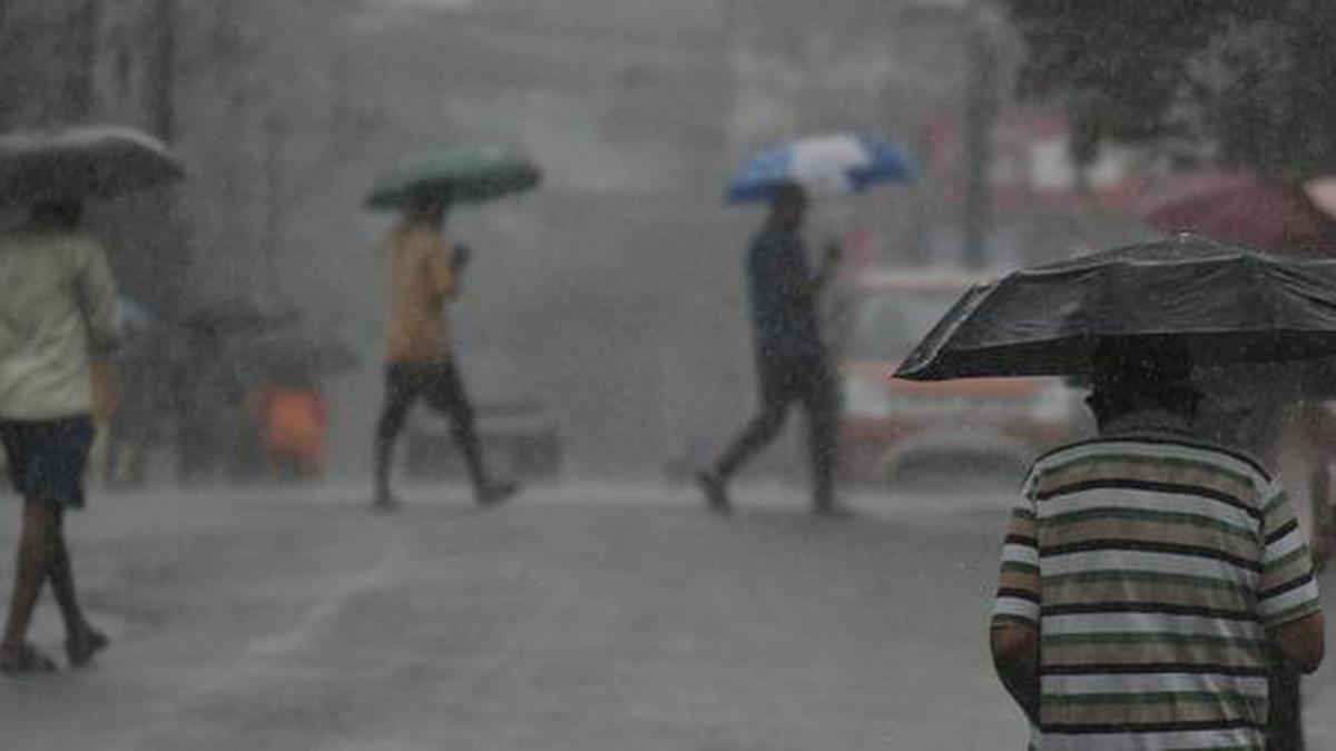Heavy rains lash Kerala, three districts on red alert - The Hindu