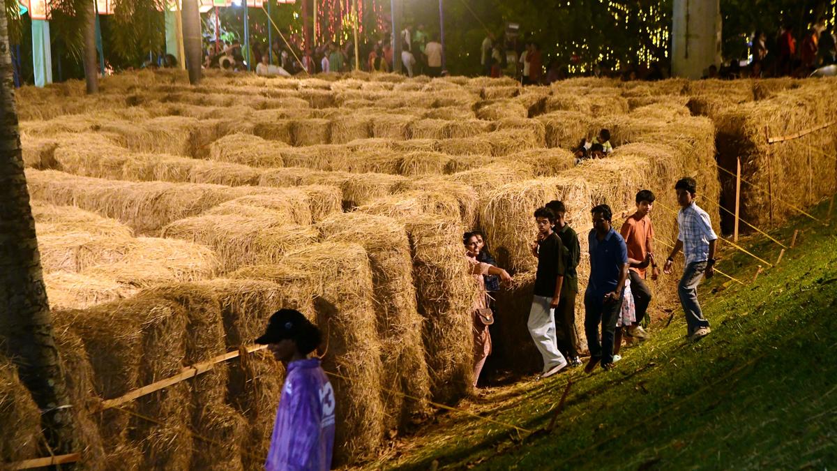Onam: Kanakakkunnu’s hay maze is going viral