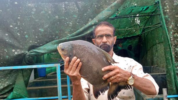 Fall in prices of inland fish varieties hits farmers