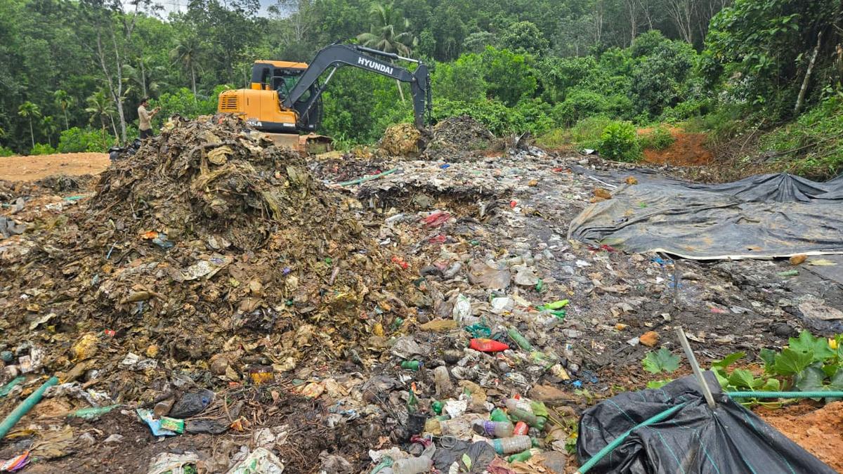 Pig farms in Thiruvananthapuram found burying large amounts of waste on their premises