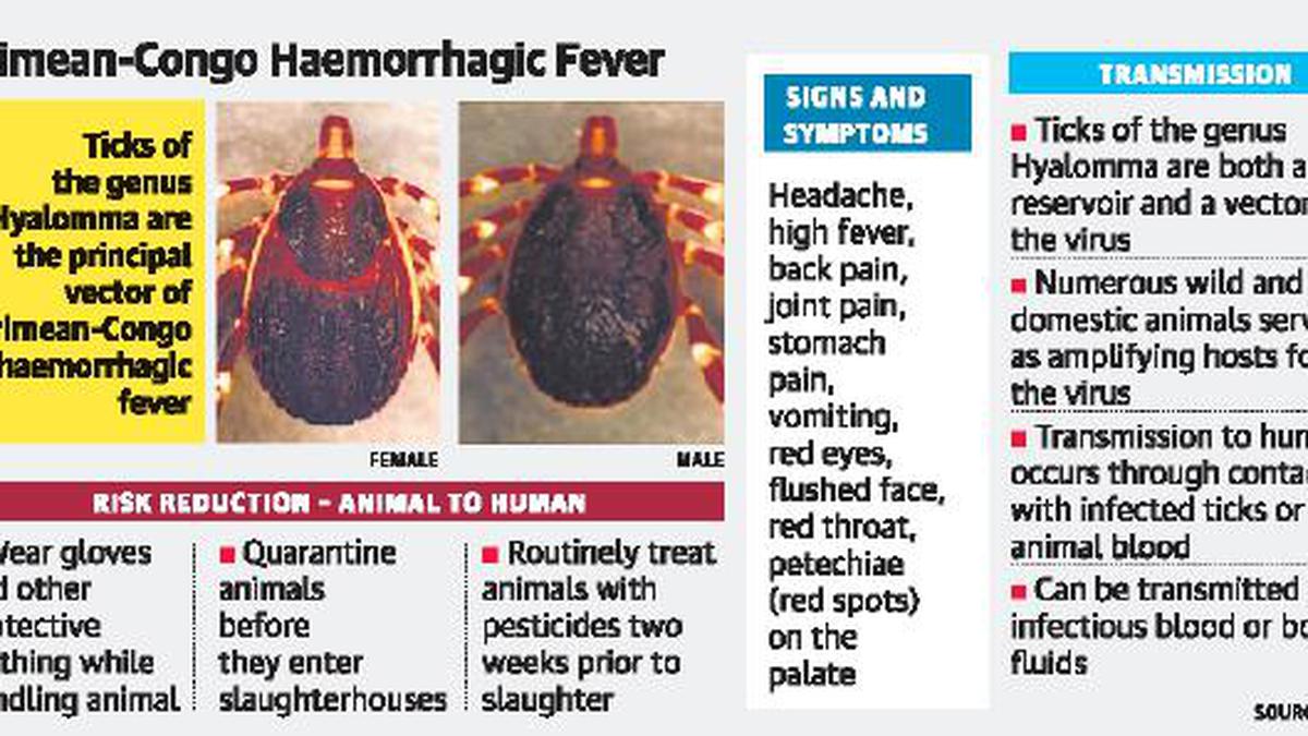 Kerala Health Dept On Guard Against CCHF - The Hindu