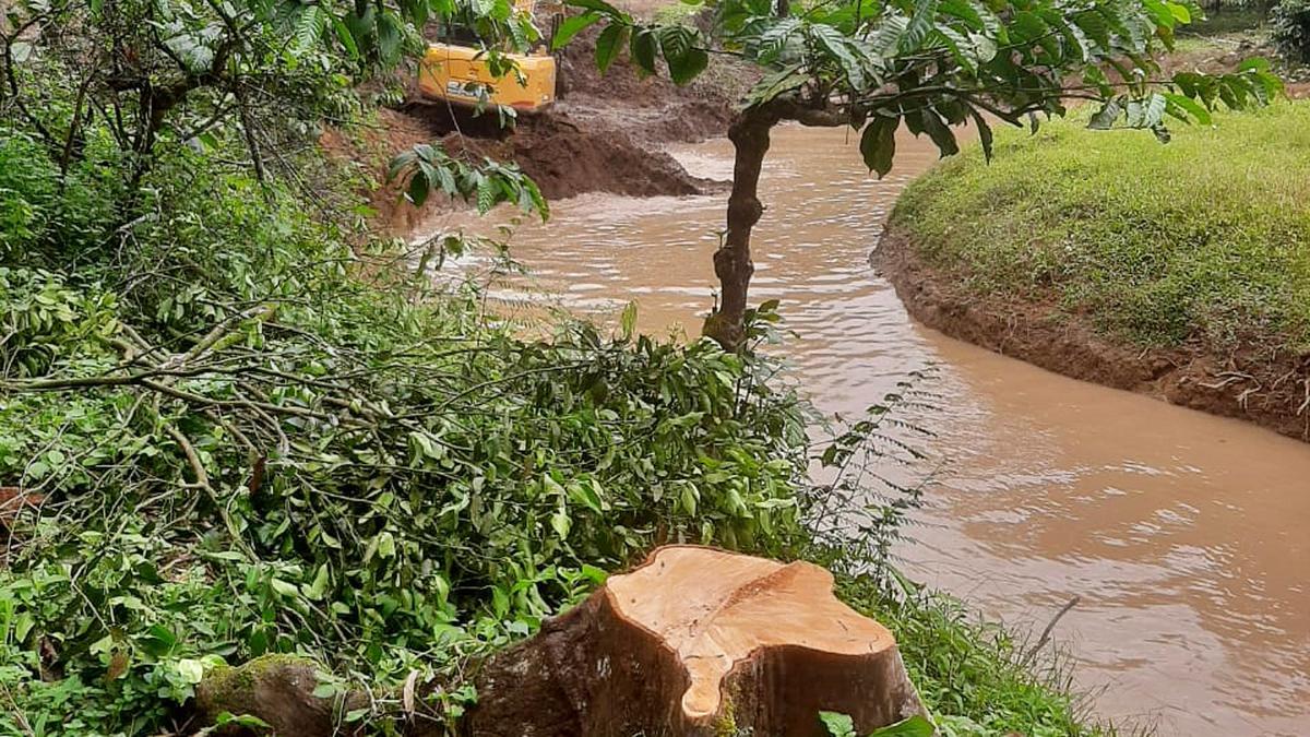 Greens seek intervention against felling of trees on eco-sensitive area in Wayanad