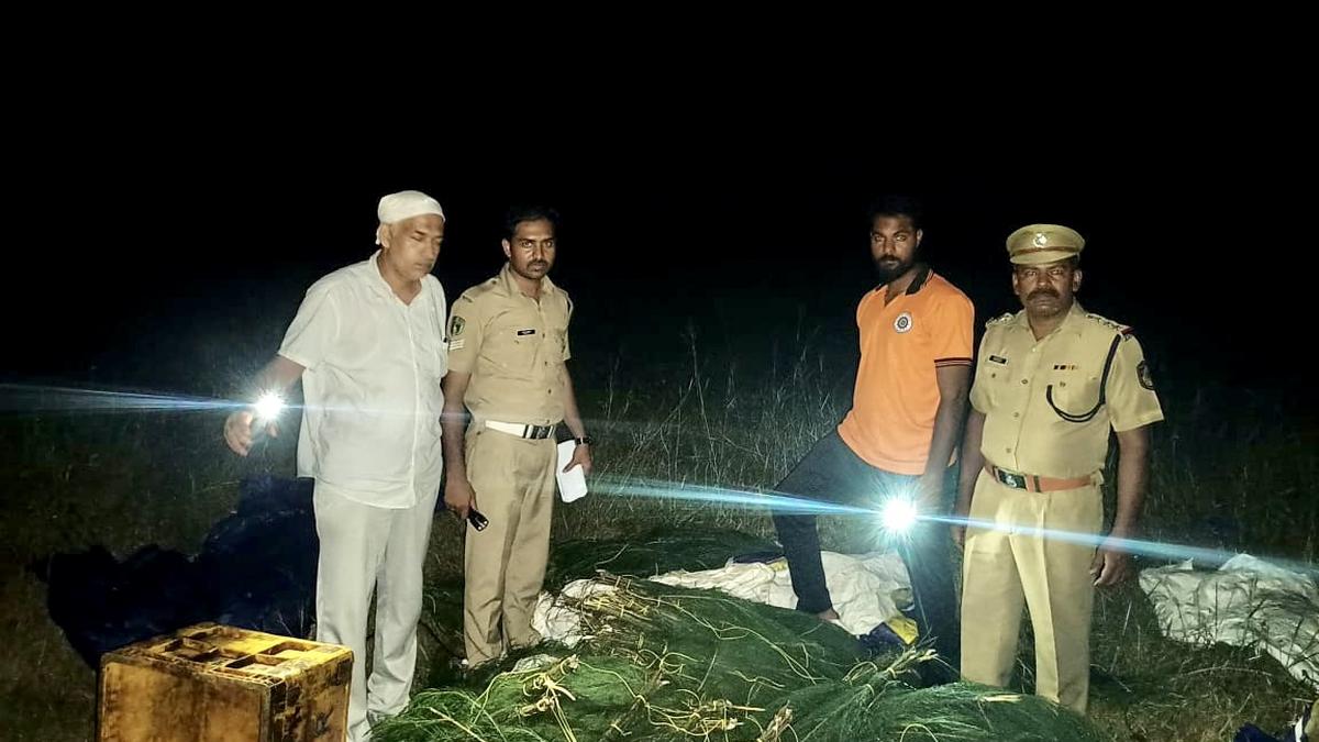 Marine enforcement squad intensifies crackdown on FADs in Kozhikode