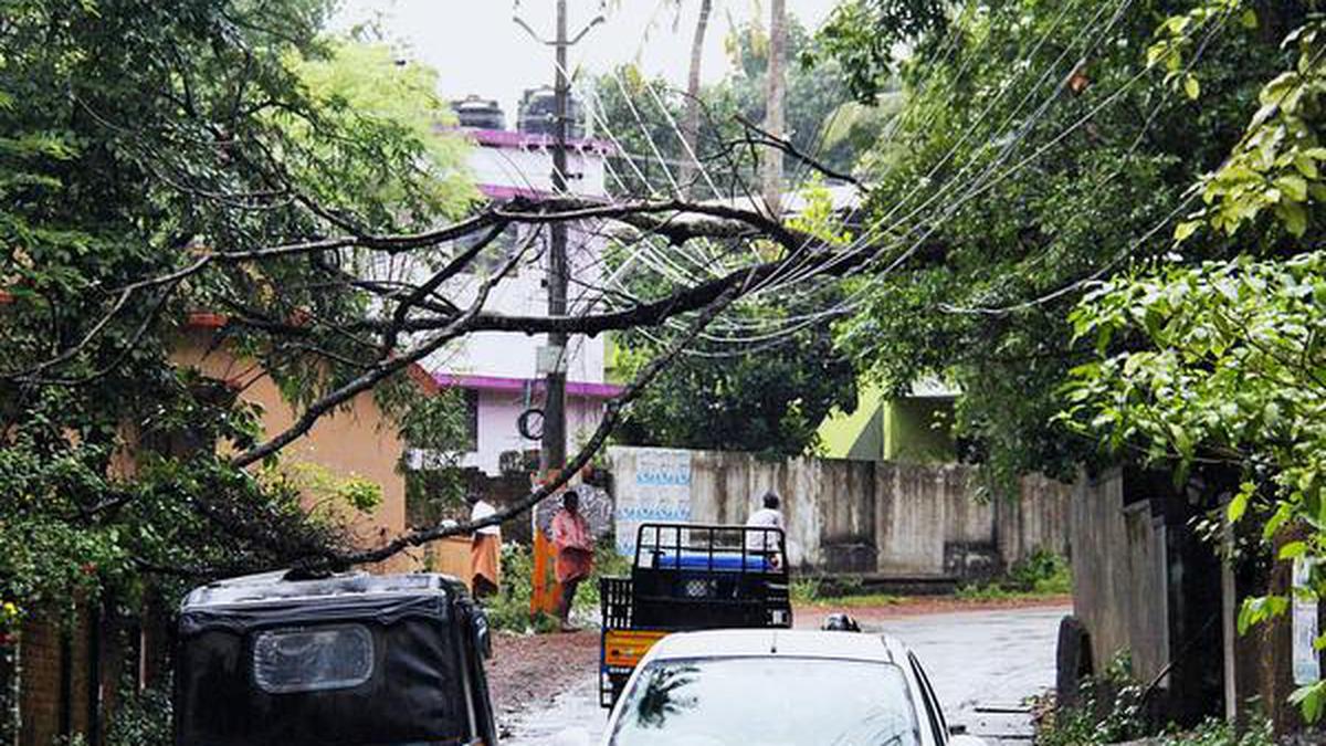 Heavy rain lashes Thrissur - The Hindu