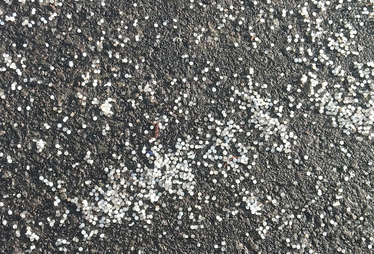 Tiny plastic pellets (nurdles) that washed on to Airport Road at Shanghumughom in Thiruvananthapuram on Wednesday (May 28, 2025). Tiny plastic pellets (nurdles) that washed on to Airport Road at Shanghumughom in Thiruvananthapuram on Wednesday (May 28, 2025).