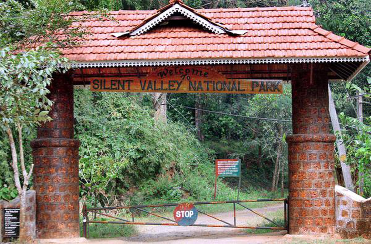 silent valley