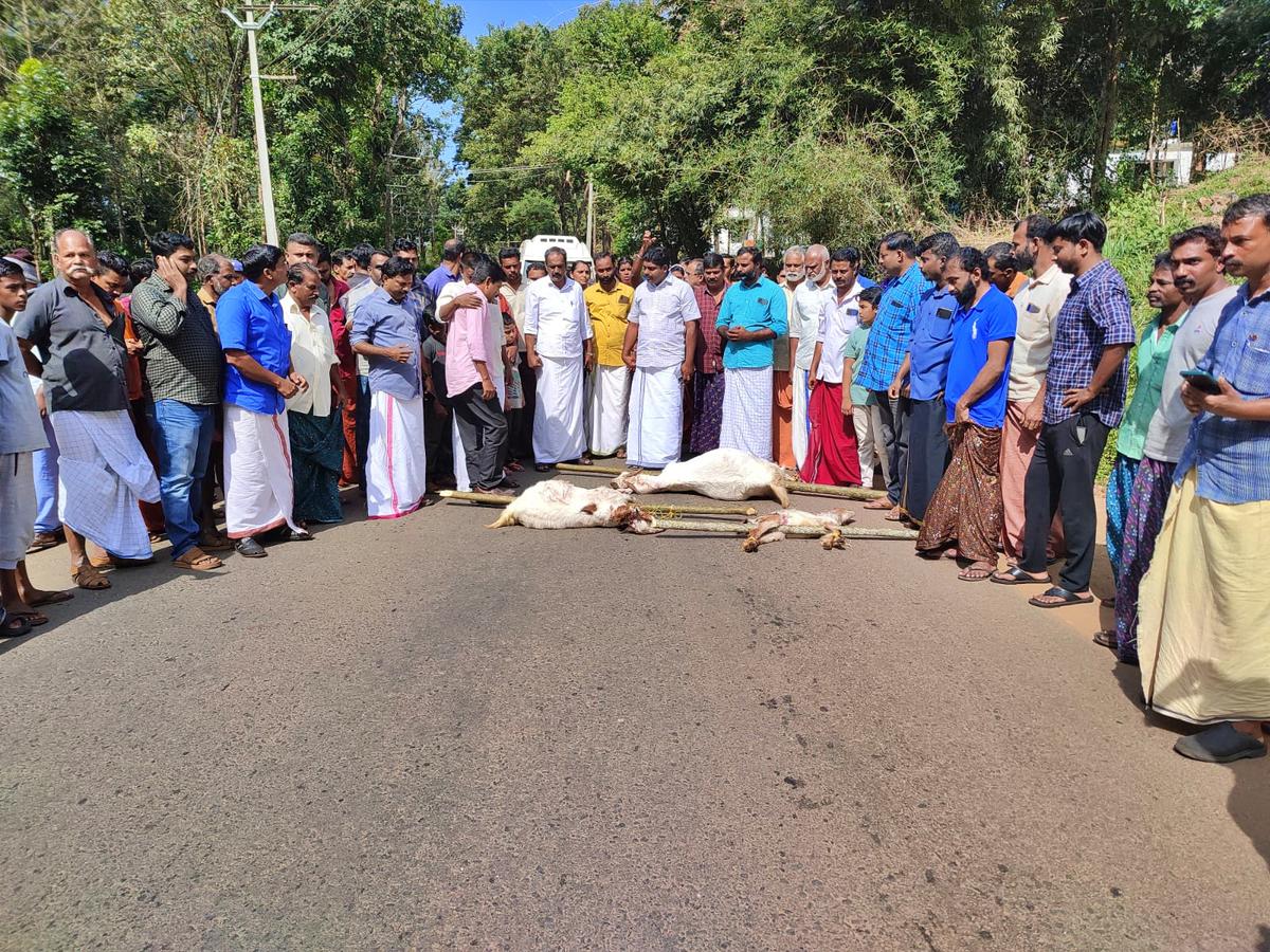 Villagers block traffic on State Highway in Wayanad