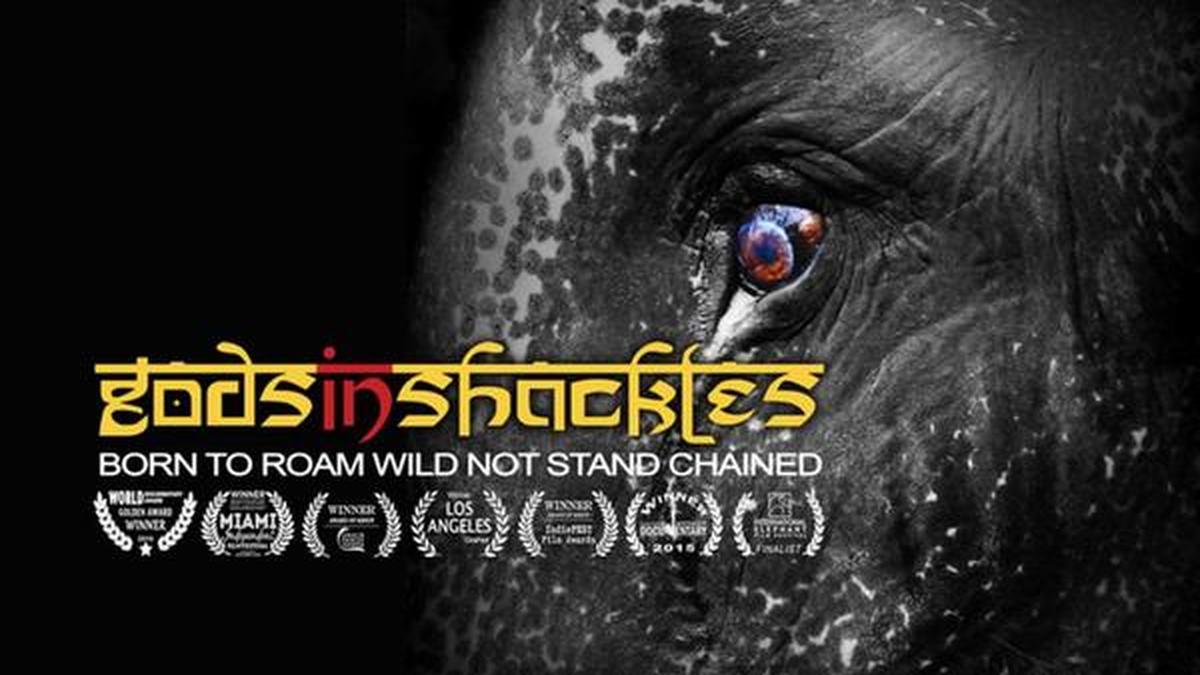 A moving work on gods in shackles The Hindu