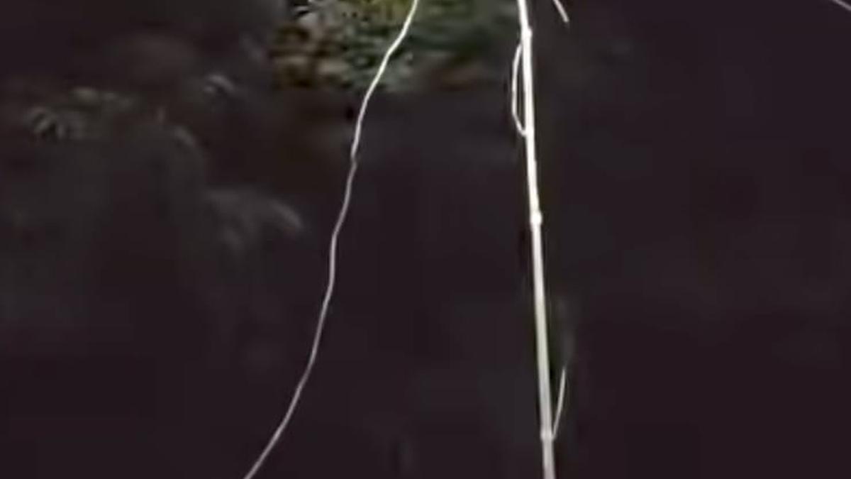 Vazhikkadavu boy’s electrocution exposes dangers of power theft
