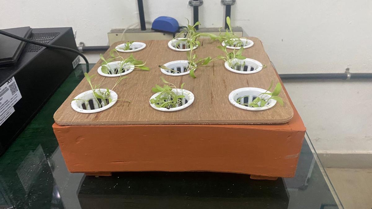 Compact hydroponic tray system developed