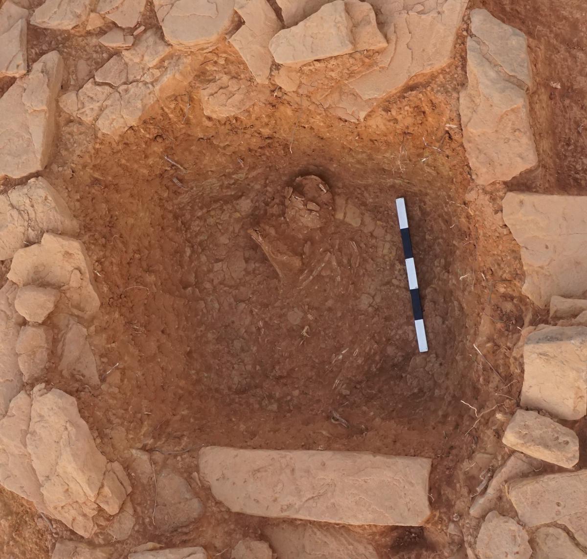 A human remain unearthed at the excavation site in Padta Bet