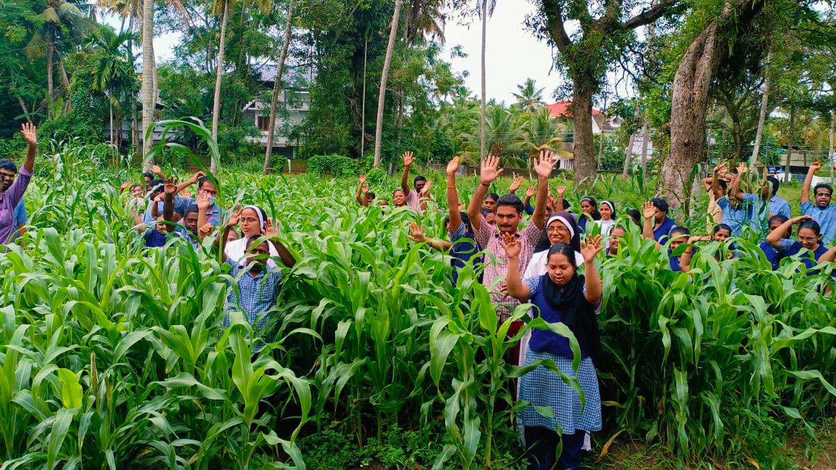 Special Children In Koonammavu Centre, Mushroom Farmer Among Winners In 