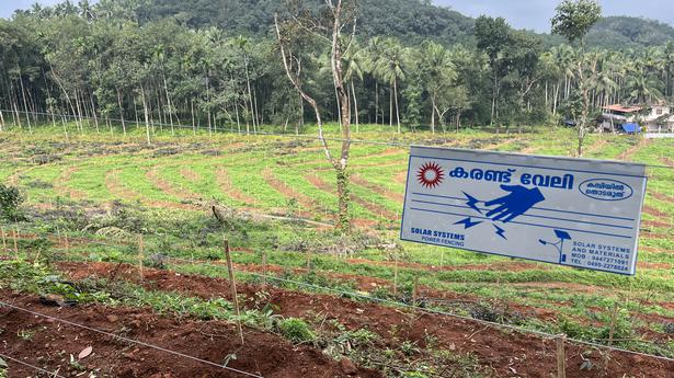 Wild animal menace: farmers independently take up solar fencing in Kozhikode