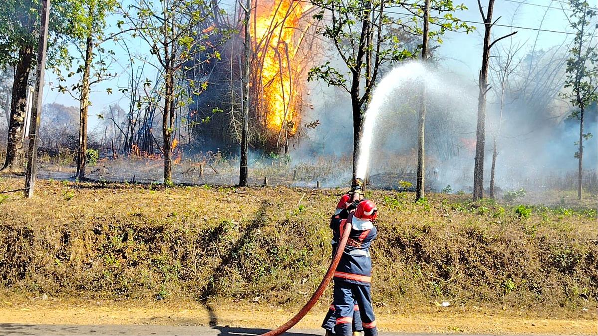 Accumulation of fuels like dried bamboo pods, high temperatures, heavy wind, and withered undergrowth reportedly caused the fire to spread.