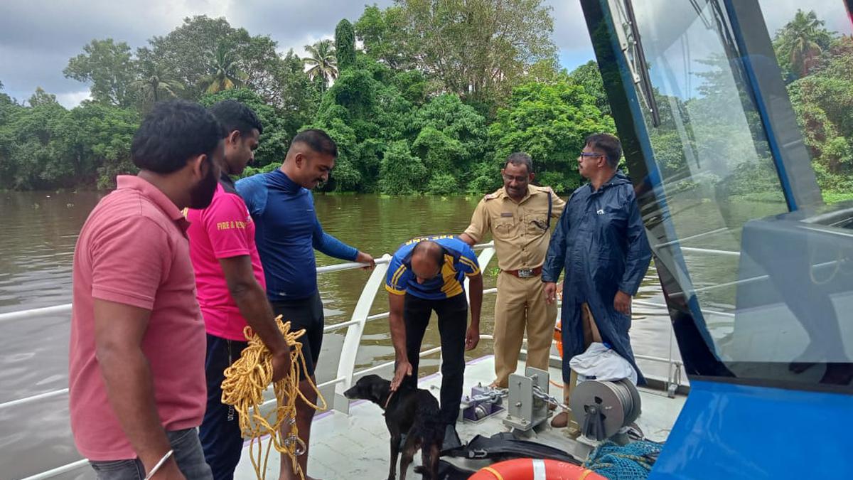 Calls to rescue pet animals in distress leave Kerala fire and rescue services in a quandary