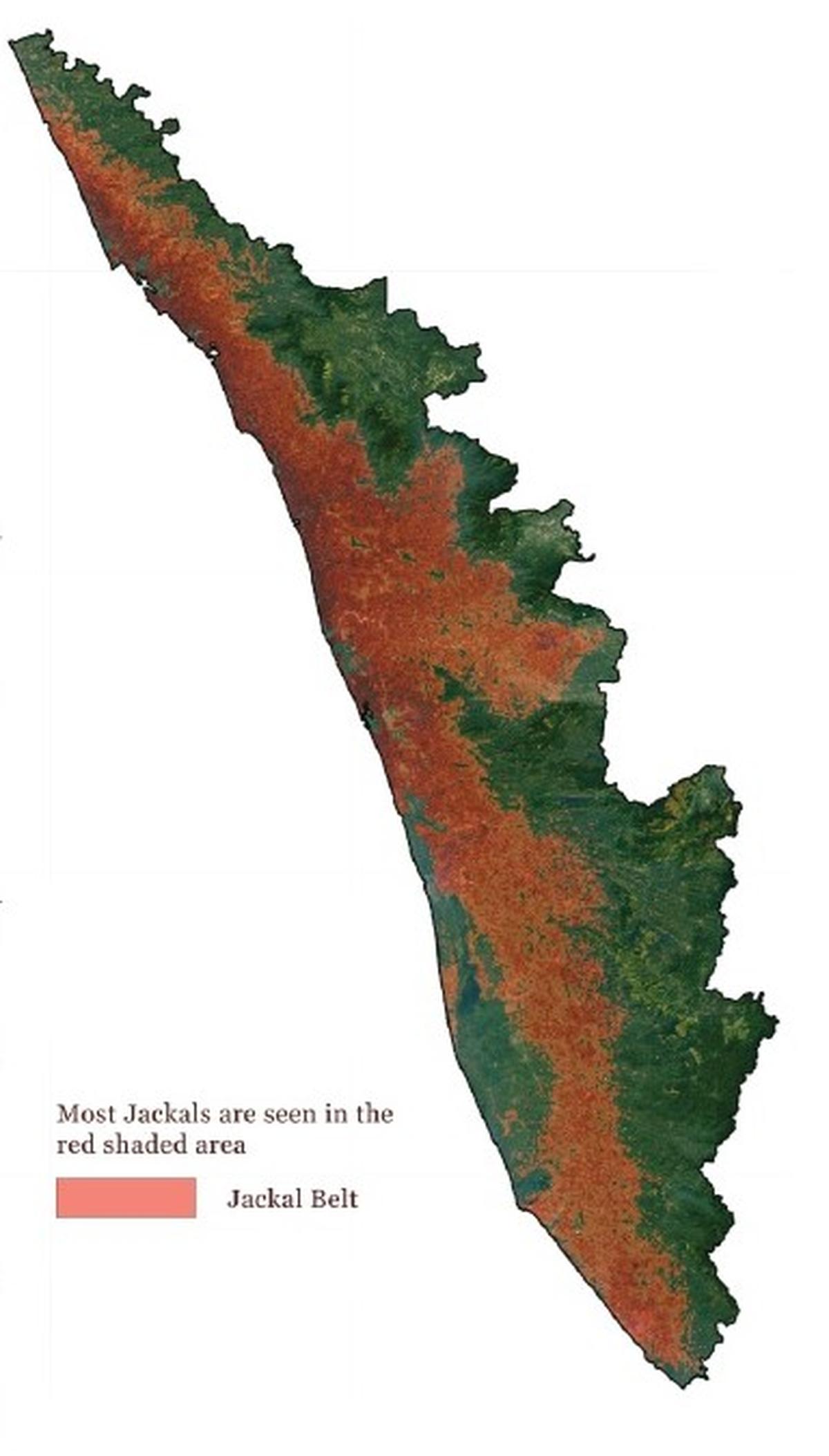 Distribution of Golden Jackal sightings in Kerala