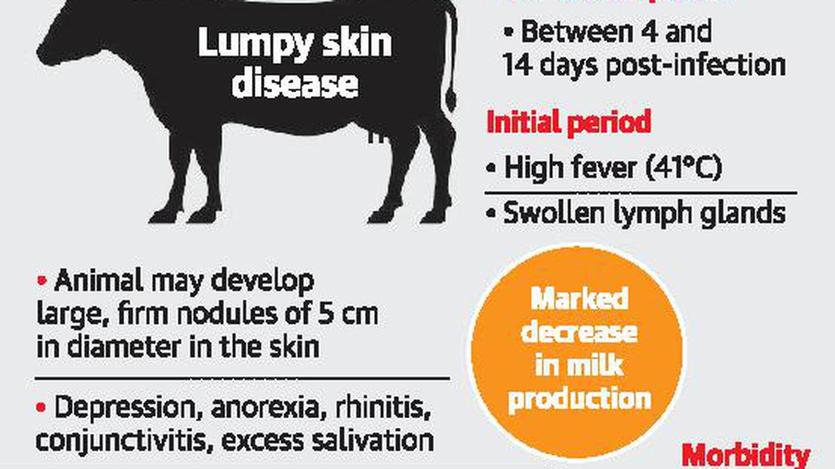 ICAR develops vaccine for Lumpy Skin Disease in cattle - The Hindu