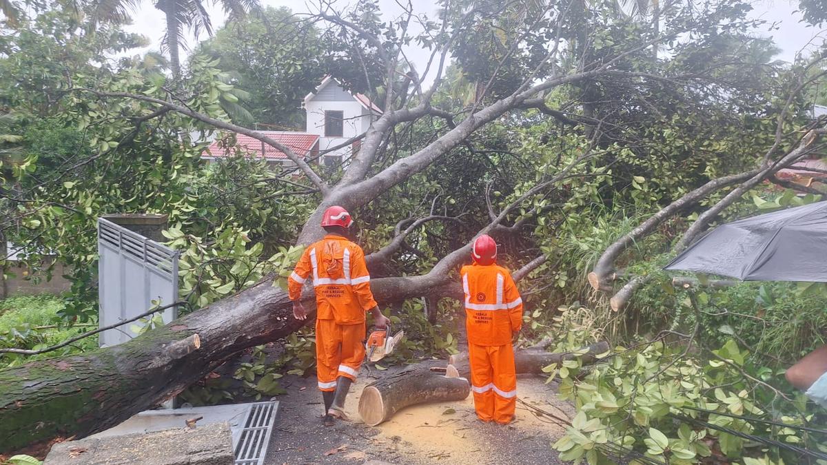 Firefighters, Corporation’s disaster management squads defend against rain fury in Thiruvananthapuram