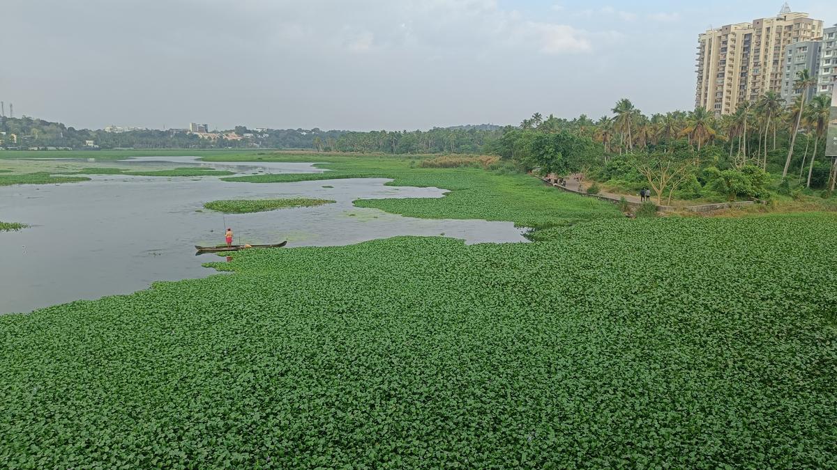 Akkulam lake rejuvenation project hits another roadblock