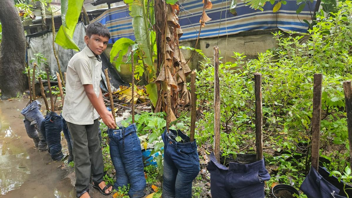 With discarded trousers and shirts as garden containers, 13-year-old from Karumalloor shows the way