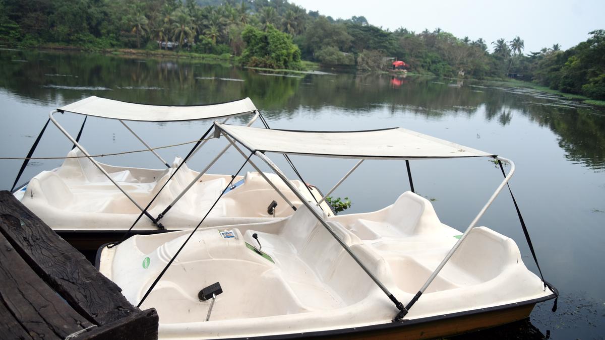 Pedal boating begins at Sarovaram Biopark in Kozhikode