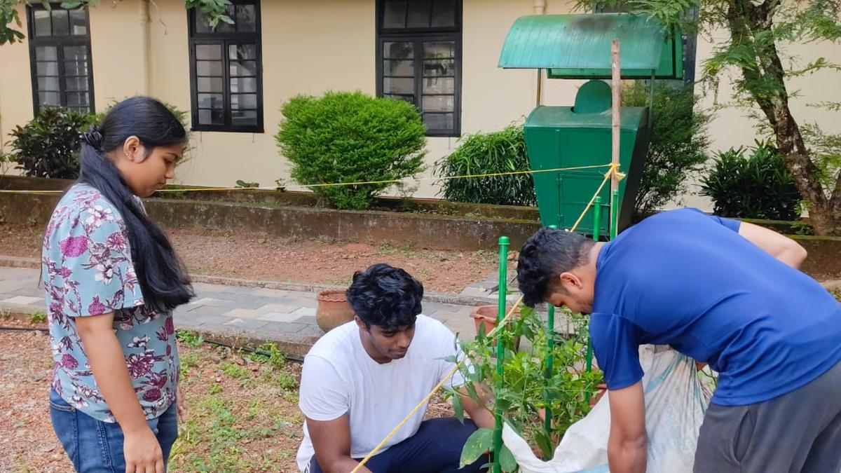 Team of young farmers come up with automated watering system