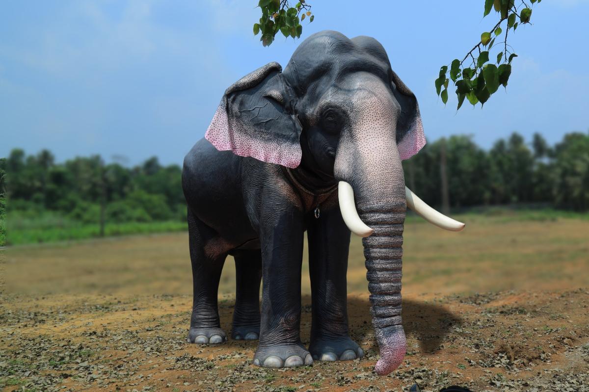 Actor Jackie Shroff, PETA to gift mechanical elephant to temple in Kerala's  Thrissur - The Hindu