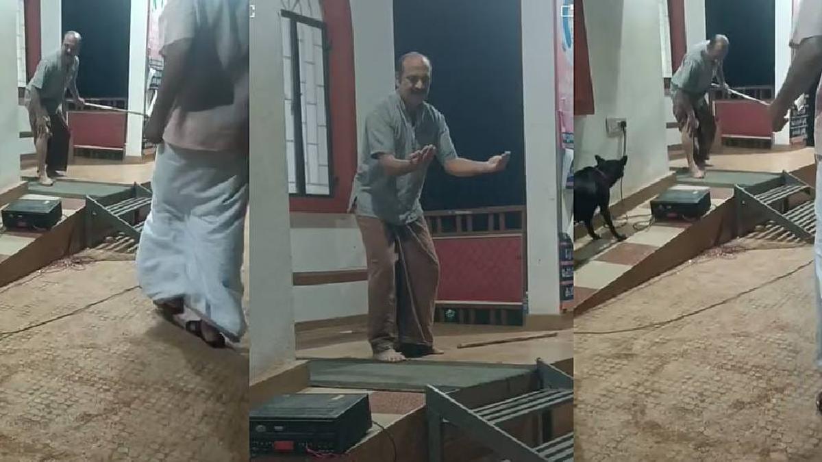 Dog attacks artiste during street play against stray dog menace in Kerala
