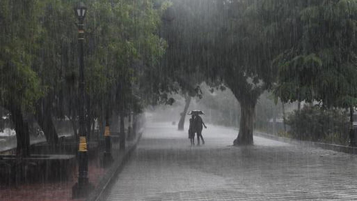 Holiday for schools and colleges in Kerala on Monday due to heavy rain -  The Hindu