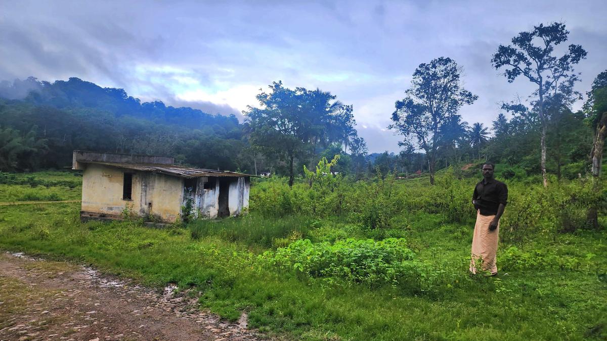 Relocation of settler farmers in Wayanad Wildlife Sanctuary in limbo