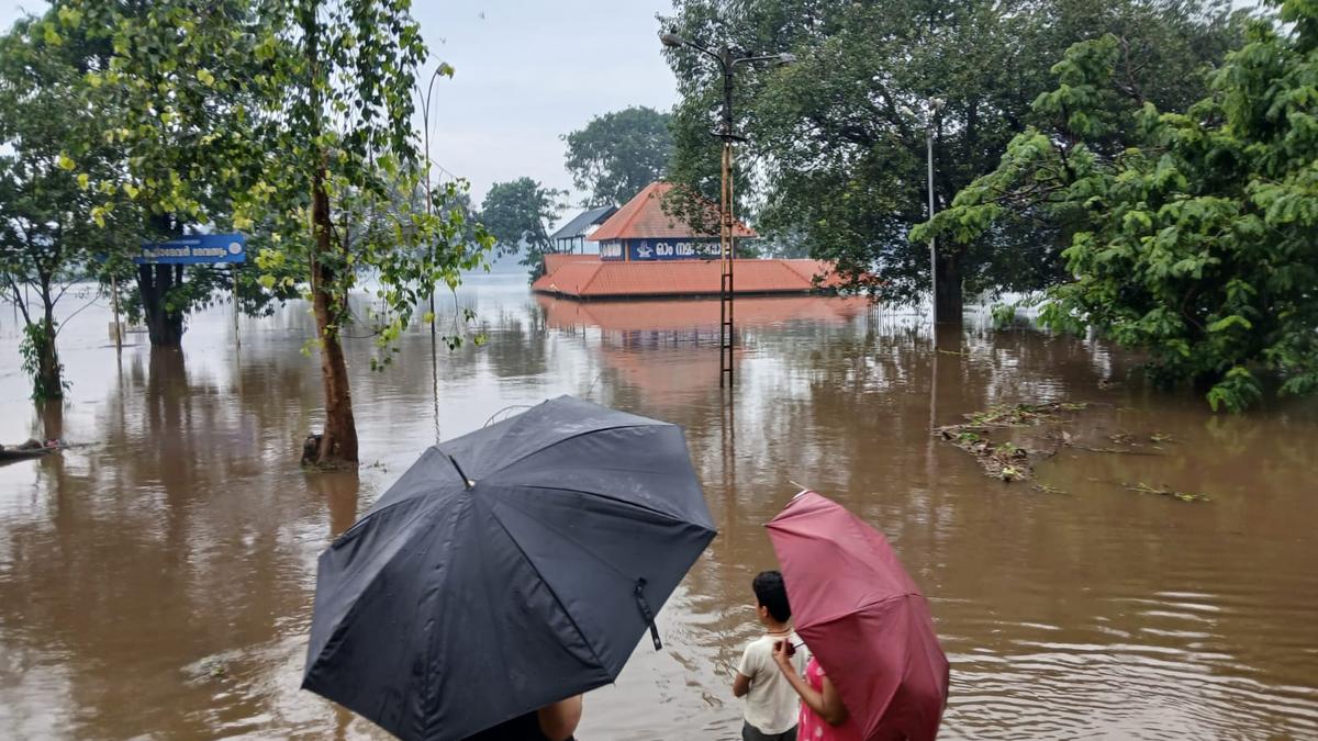 Kerala rains: IMD issues orange alert for eight districts