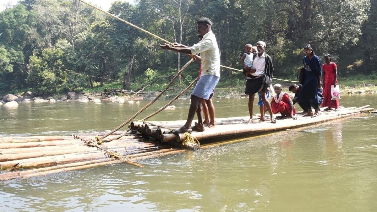 Malappuram records 77.41% voter turnout in local body polls