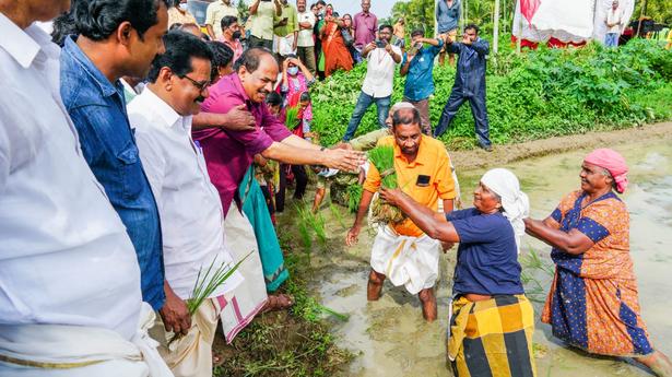 Minister stresses need to enhance paddy production