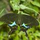 Earth Day 2026: How Nature walks, parks, and trails are sparking a new conservation movement