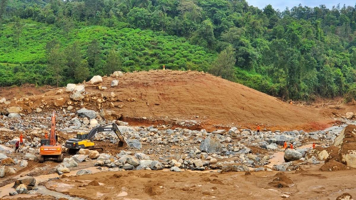 Wayanad landslides: DNA tests completed on 401 samples so far