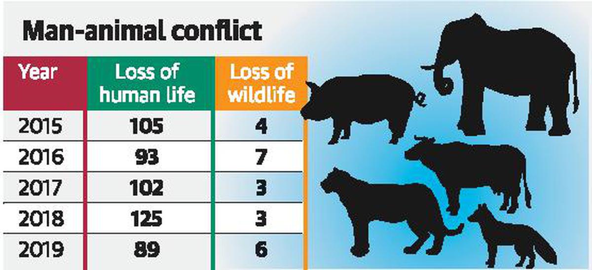 23,182 instances of man-animal conflict in State since August 2016 - The  Hindu