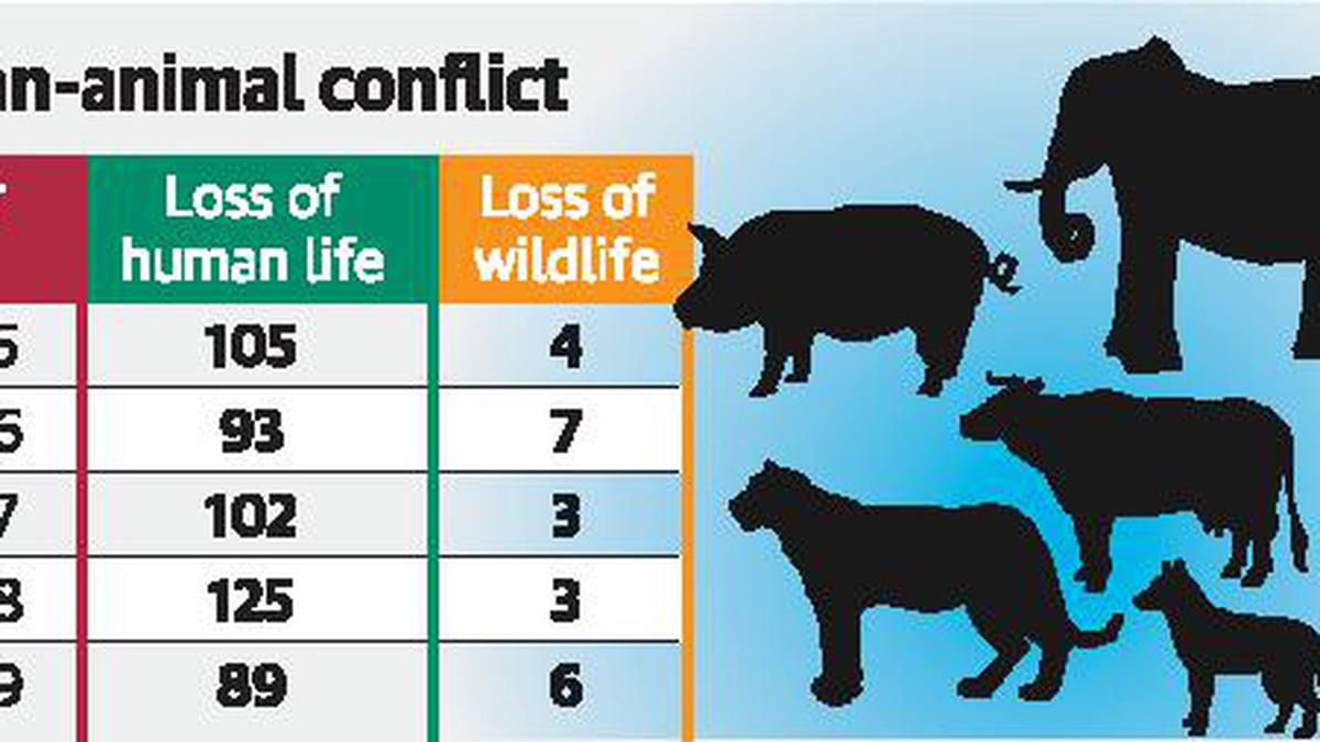 23,182 instances of man-animal conflict in State since August 2016 - The  Hindu