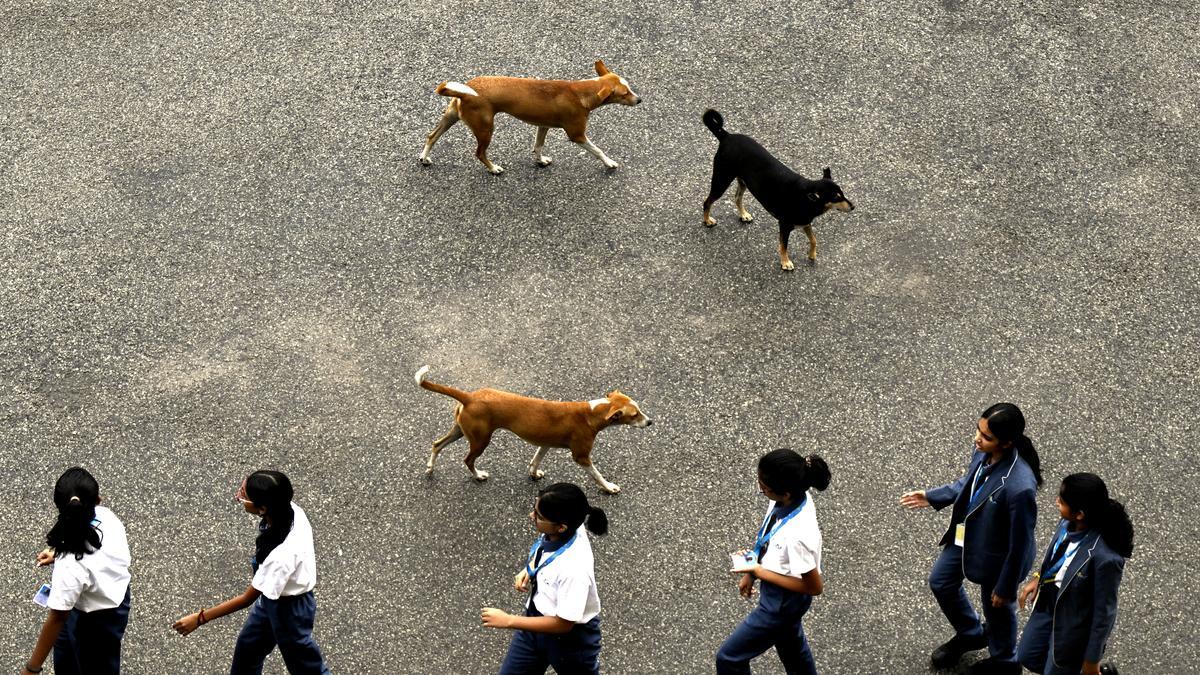 Four Kerala govt doctors booked on negligence charges over 7-year-old girl’s rabies death