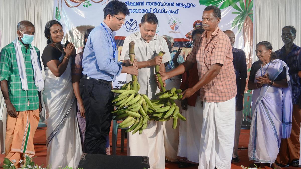 Nilambur tribespeople celebrate ‘Nankonam’ with dance, music