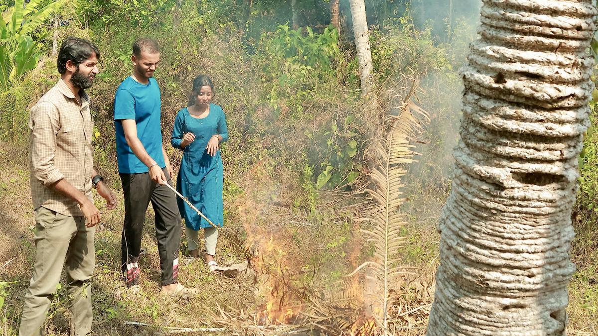 Botany teacher, students in action to save pest infected Eenthu trees