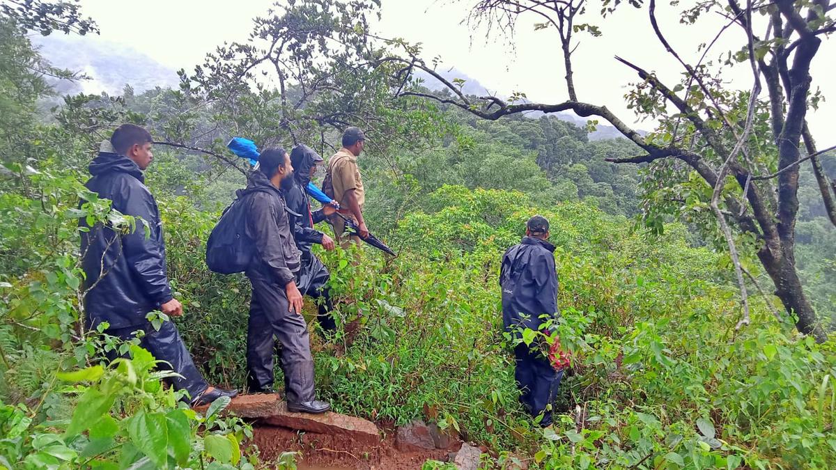 Elephants chased back into forest in Wayanad - The Hindu