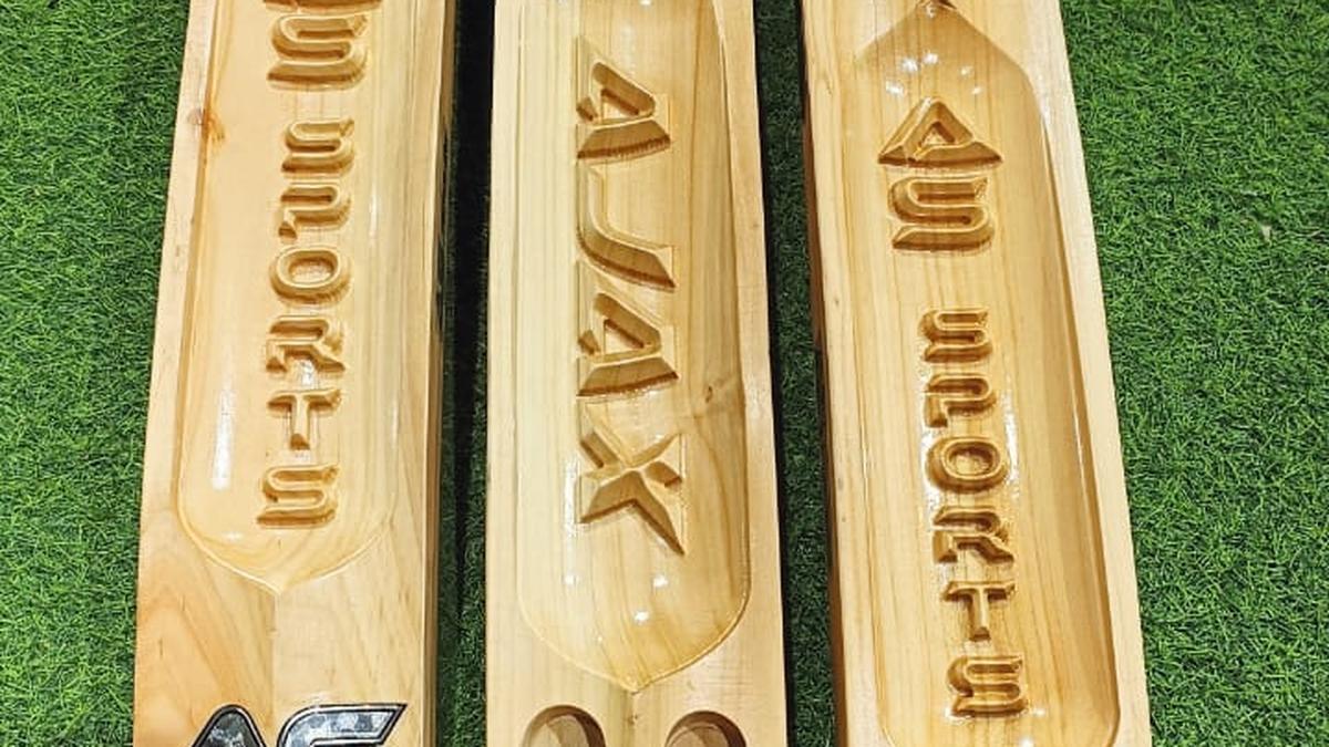 As box cricket soars, so does demand for customised bats